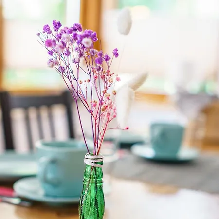 Gruene Auszeit Mit Kaminofen Und Terrasse * 瓦尔达赫陶