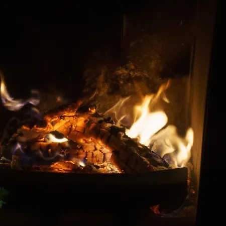 Grüne Auszeit Mit Kaminofen Und Terrasse Apartment *