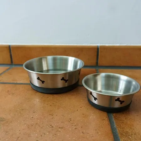 Grüne Auszeit Mit Kaminofen Und Terrasse Apartment Waldachtal