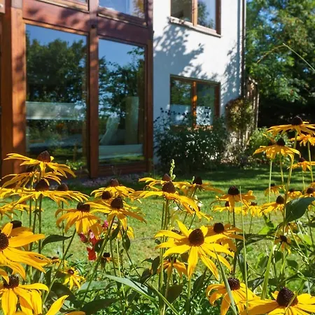 Grüne Auszeit Mit Kaminofen Und Terrasse Waldachtal